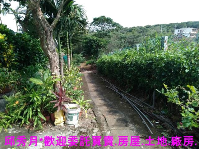 三芝農舍-2