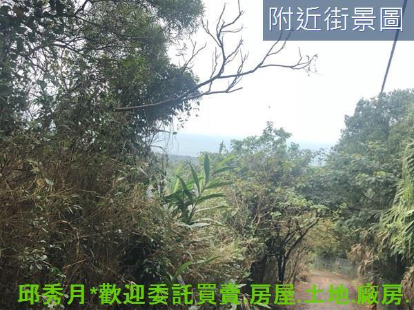 新北三芝農地-3