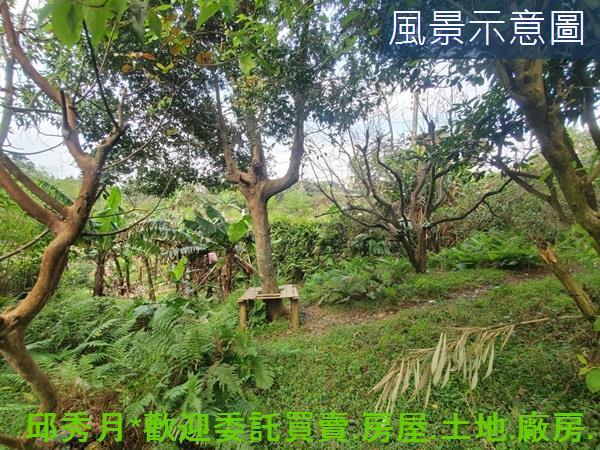 新北三芝農地-10