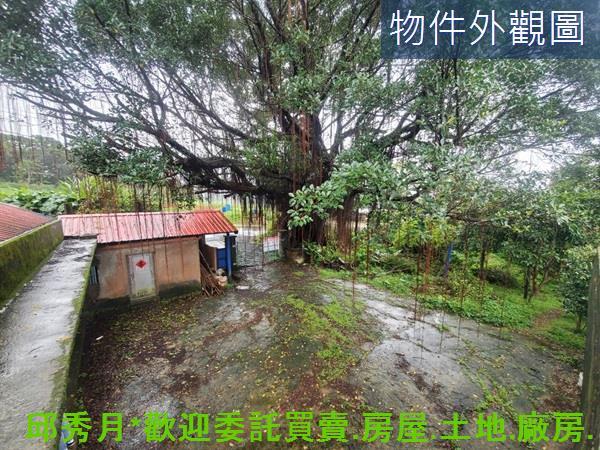新北三芝農地-1