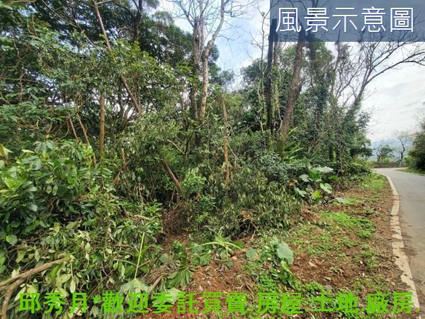 新北三芝農地-3