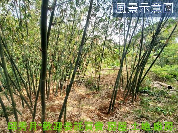 新北三芝農地-4