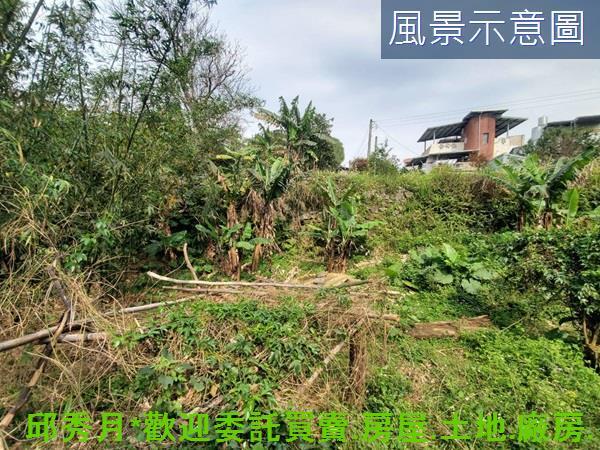 新北三芝農地-5