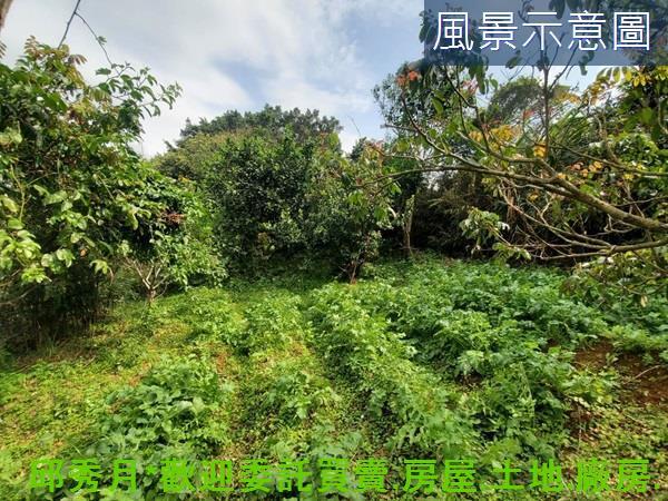 新北三芝農地-6