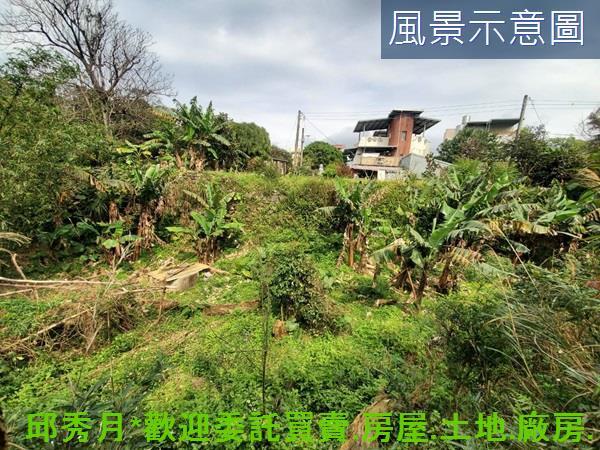新北三芝農地-7