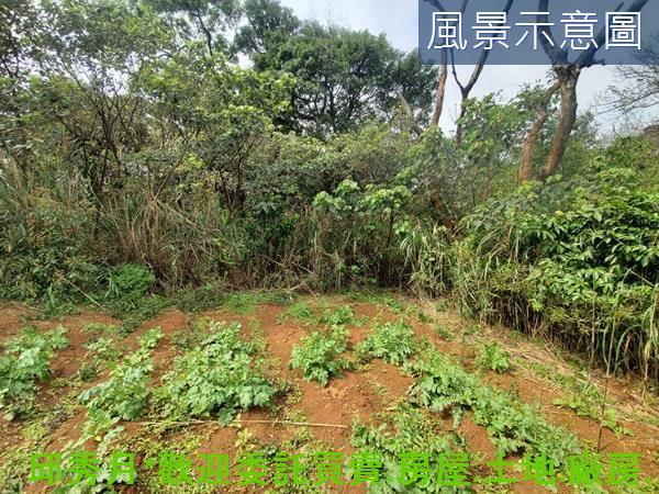 新北三芝農地-8