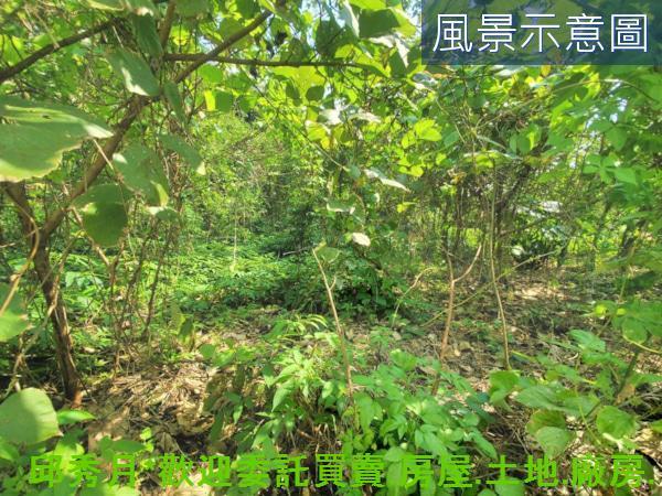 新北三芝住宅地-10