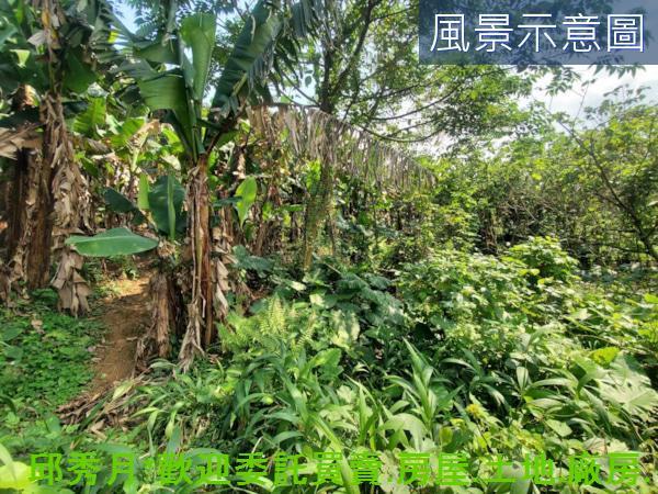 新北三芝住宅地-4