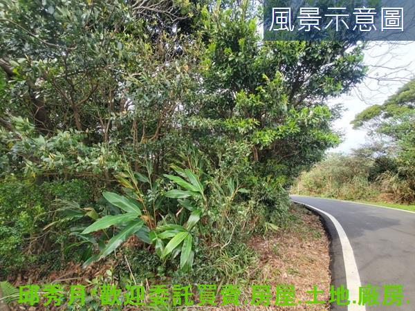 新北三芝農地-2