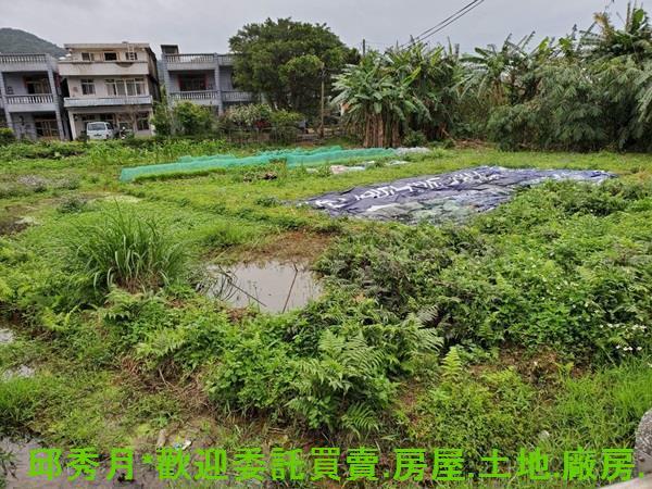 金山農地-4