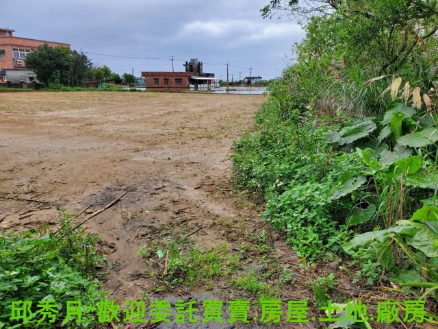 金山農地-9