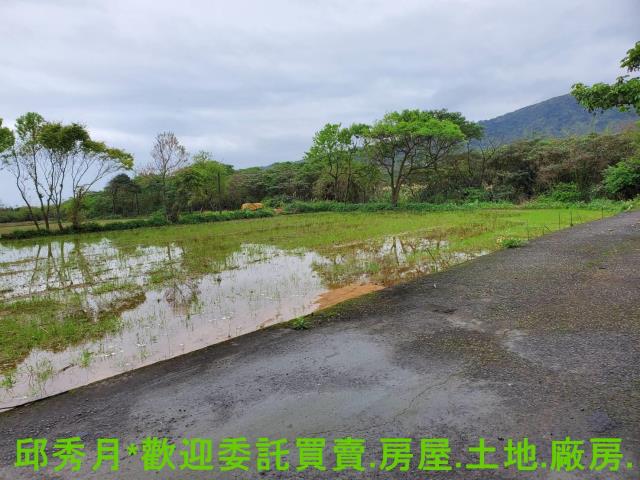 金山農地-1