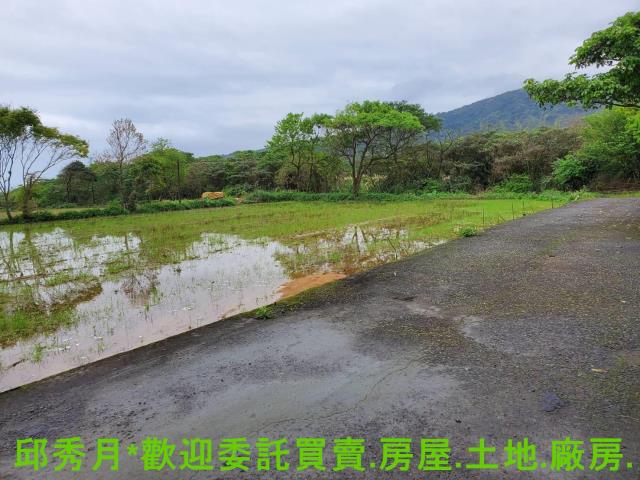金山農地-2