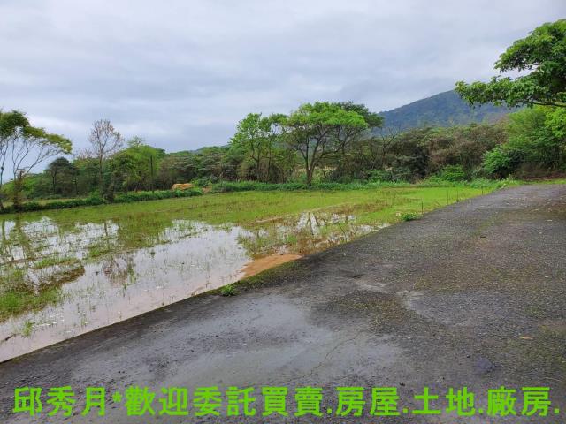 金山農地-3