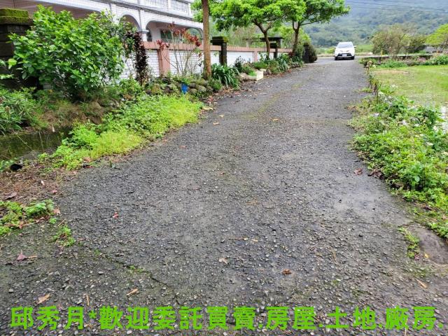 金山農地-6