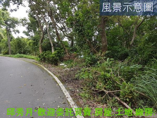 三芝農地-1