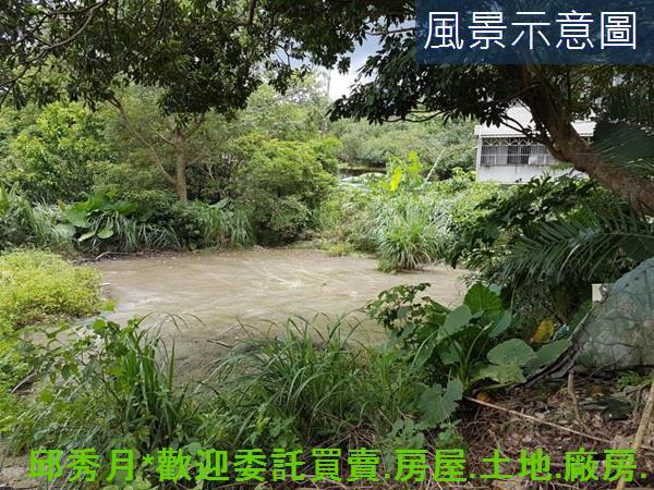 三芝農地-2