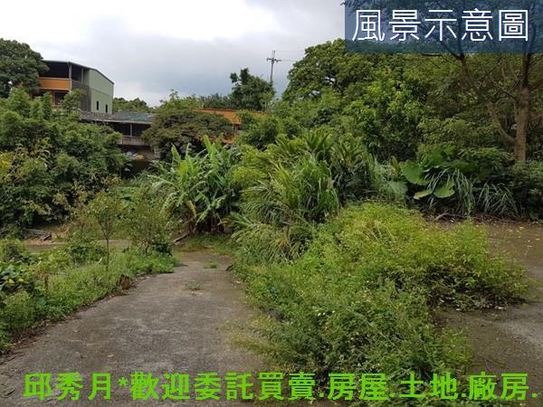 三芝農地-4