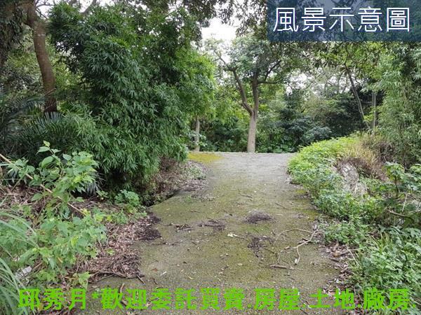 三芝農地-5