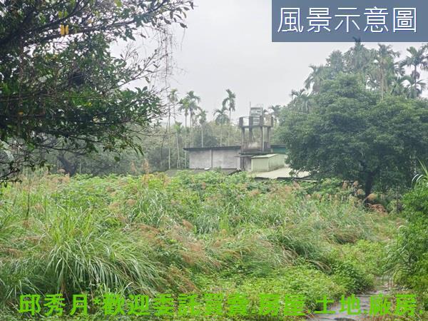石門農地-9