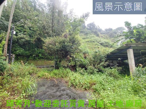 石門農地-10