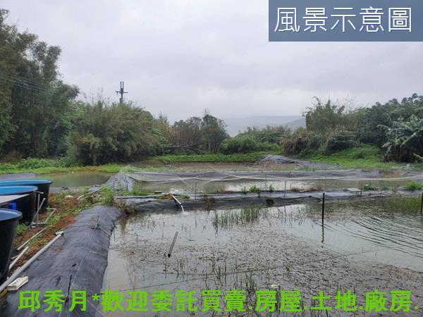 石門農地-4