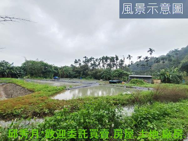 石門農地-5