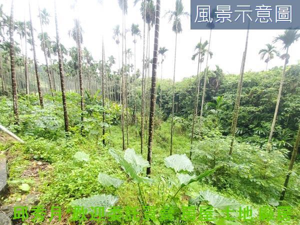 石門農地-6