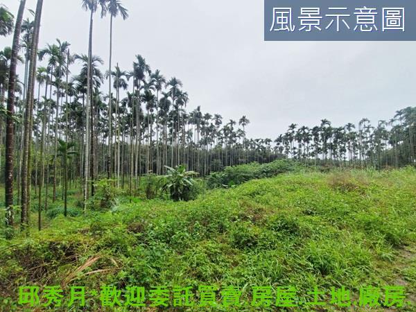 石門農地-8