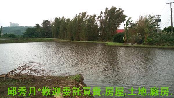 淡水農地-4
