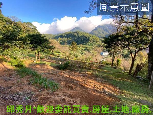 三芝農地-9