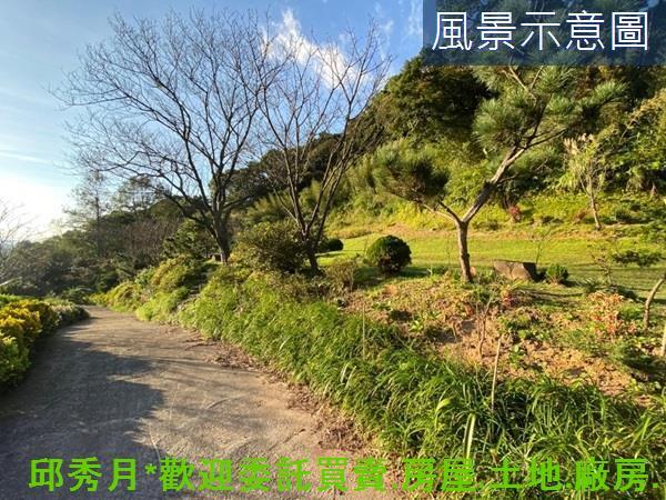 三芝農地-11