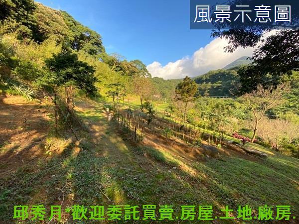 三芝農地-8