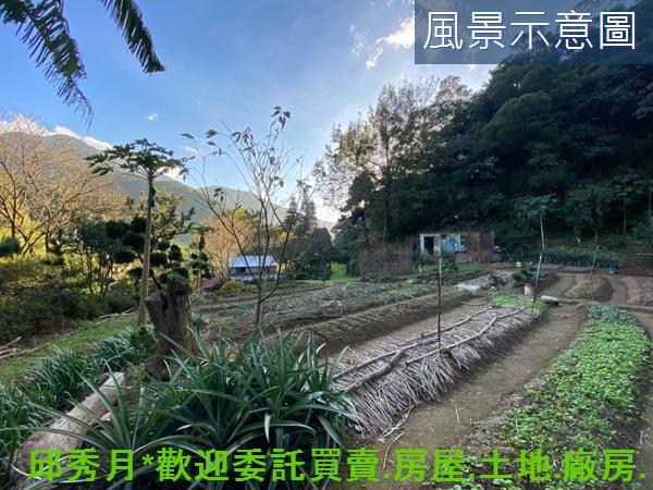 三芝農地-10