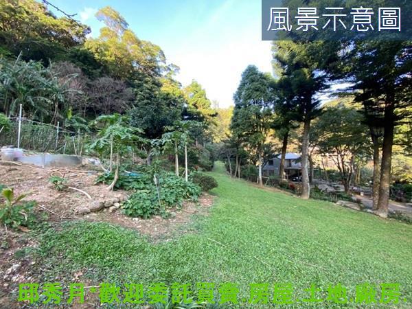 三芝農地-3