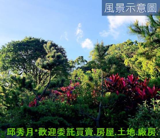 三芝農地-1