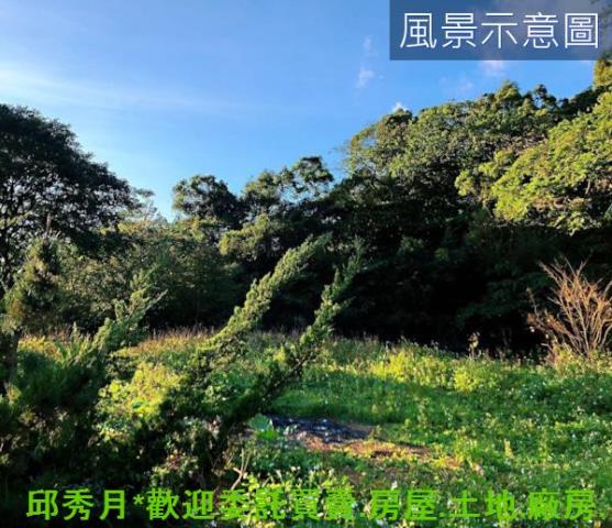 三芝農地-3