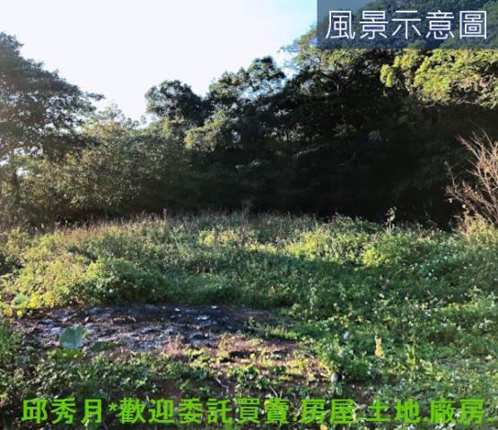 三芝農地-4