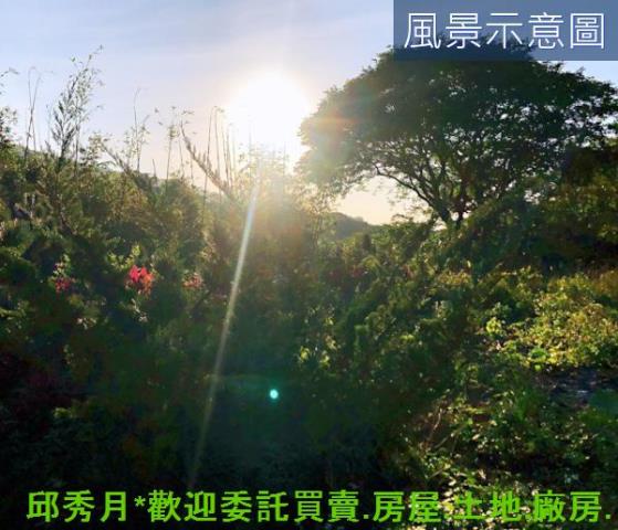 三芝農地-5