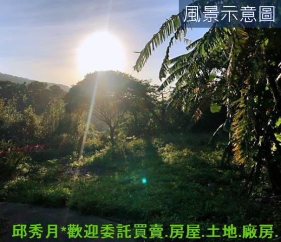 三芝農地-6