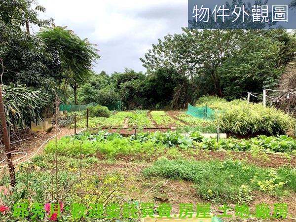 新北淡水農地-0
