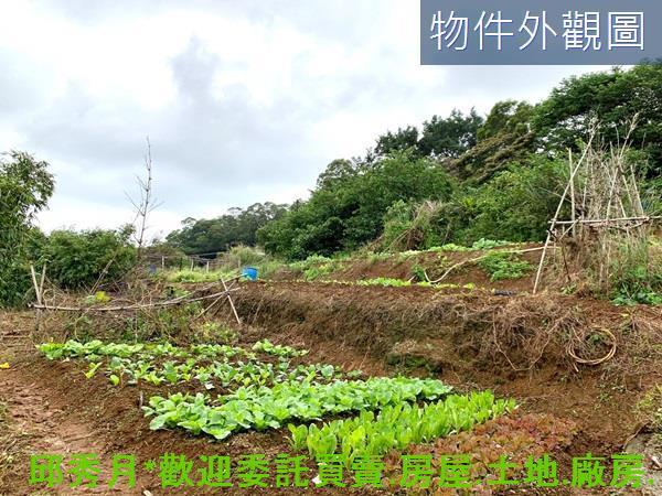 新北淡水農地-1