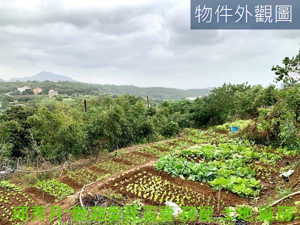 新北淡水農地-2
