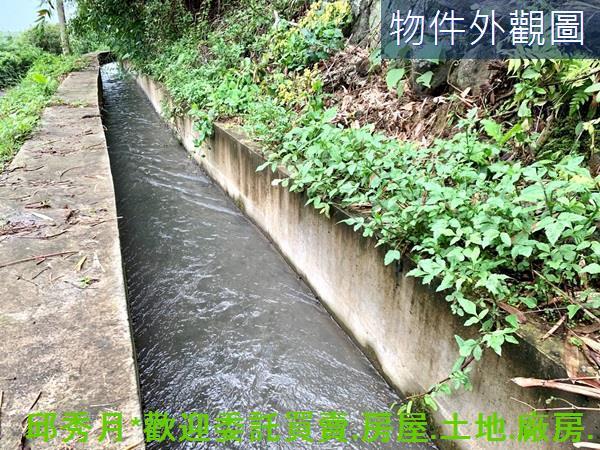 新北淡水農地-3