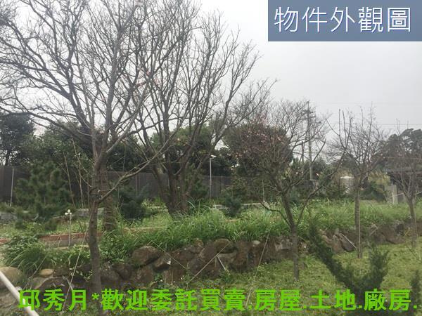 三芝農地-10