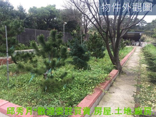 三芝農地-11