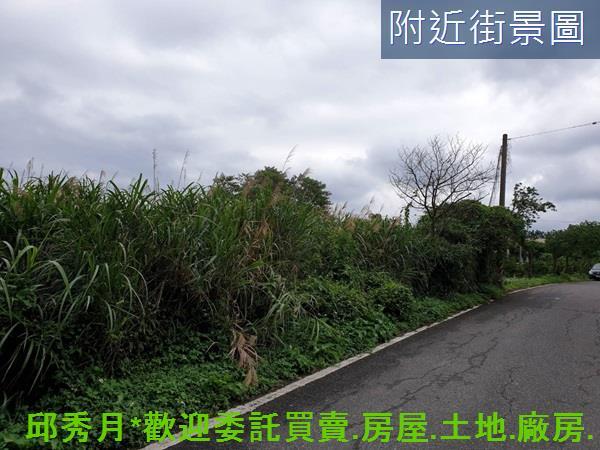 三芝農地-1