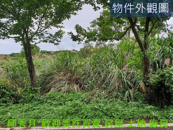 三芝農地-3
