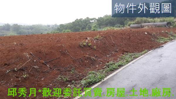 淡水農地-2