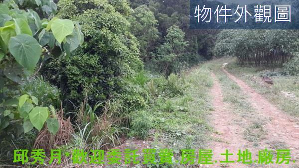 淡水農地-3